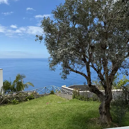 Cozy Sea View House Faja Da Ovelha Villa Calheta  Exterior photo
